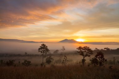 Mulk Salang Luang Milli Parkı: Phetchabun puslu sabah güneş doğarken