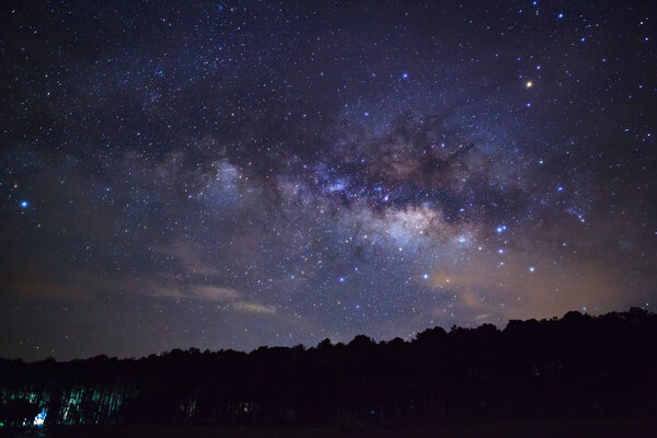 Силуэт дерева с облаком и Млечный Путь. Длительное фото

