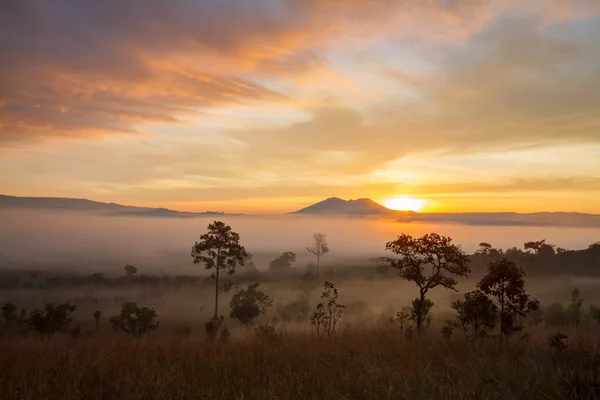 Nebliger Morgensonnenaufgang im Thung Salang Luang Nationalpark Phetchabun — Stockfoto