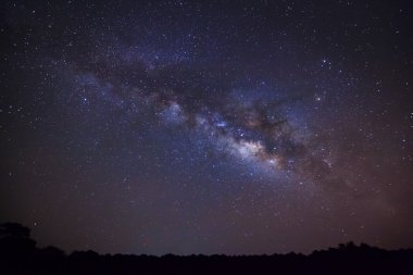 Samanyolu ve ağaç Phu Hin Rong Kla Milli Parkı, silüeti