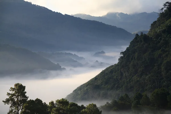 Misty morning sunrise at Doi Ang-khang mountain, chiangmai : thailand — Stock Photo, Image