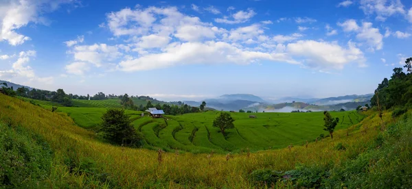 Panorama Green Terraced Rice Field at Ban Pa Bong Peay in Chiangmai — Stock Photo, Image