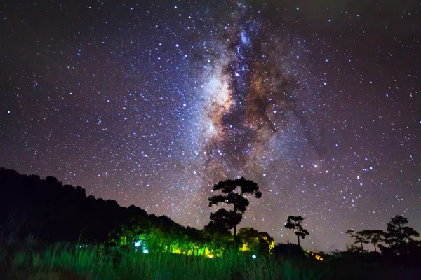 ツリーと天の川、長時間露光写真は、穀物のシルエット — ストック写真