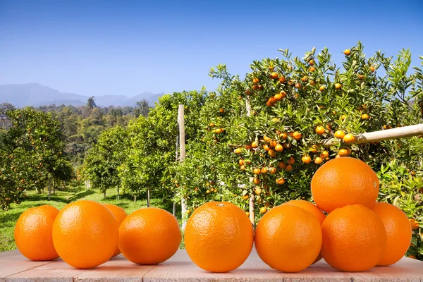 Naranja fresco sobre mesa de madera en jardín —  Fotos de Stock