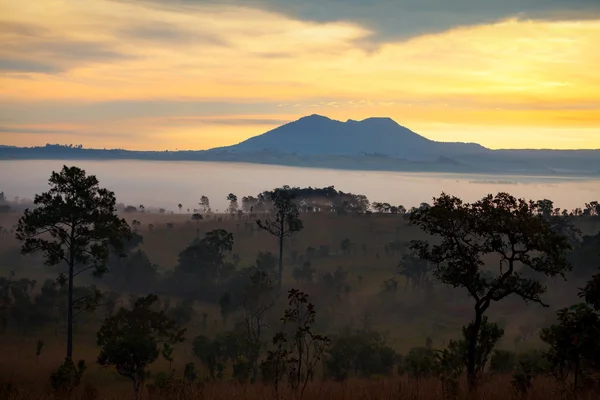 Nebliger Sonnenaufgang am Morgen im Thung Salang Luang Nationalpark — Stockfoto