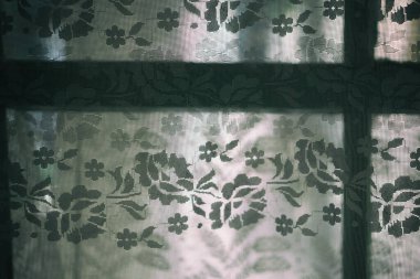       Sabah ışığında çiçek perdesi.