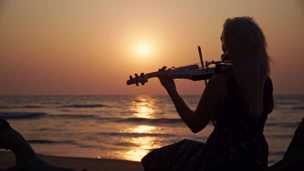 Mädchen spielt Geige am Meer vor dem Hintergrund des Sonnenuntergangs — Stockvideo