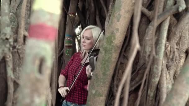 Красива дівчина грає на скрипці в природі — стокове відео