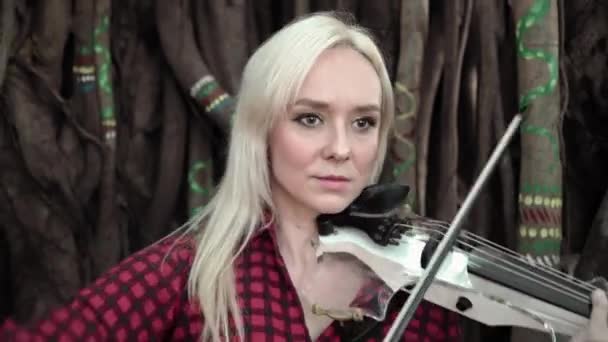 Dziewczyna o europejskim wyglądzie gra na skrzypcach — Wideo stockowe