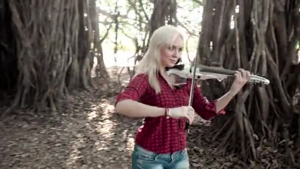 Professionele muzikant die viool speelt in de natuur — Stockvideo