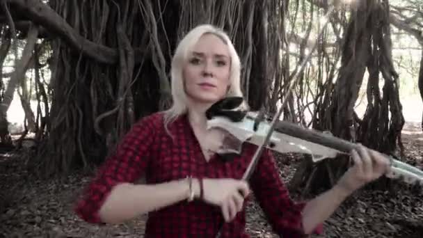 Girl performs playing the violin on a sunny day — Stock Video