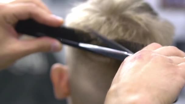 The boy decided to have a haircut by professional hairdresser — Stock Video