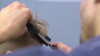 Profesyonel bir kuaför bir genci keser.