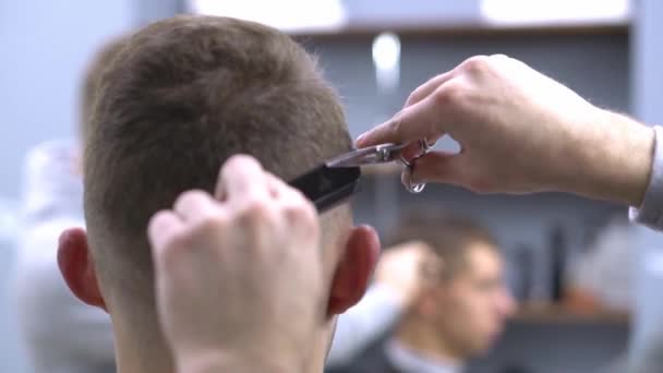 Young adult came to professional hairdresser — Stock Video