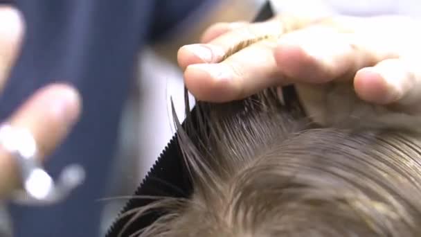 Professional hairstylist cuts a teenager — Stock Video