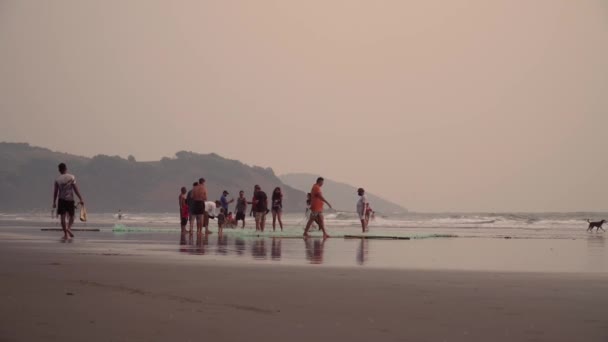 La gente cammina sulla spiaggia — Video Stock