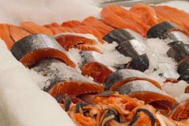 buz taze kırmızı balık