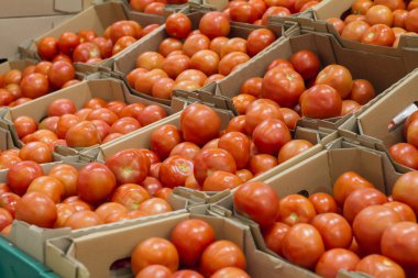 mağaza raf kırmızı domates