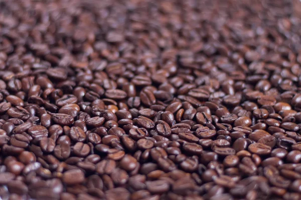 kahverengi kavrulmuş arabica kahve 