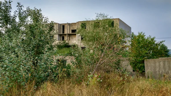 ağaçları ile harap şehir
