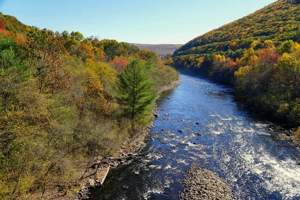 Silmiinpistäviä Värejä Syksyn Lehtien Lähellä Lehigh River Jim Thorpe Pennsylvania — kuvapankkivalokuva