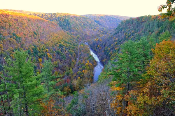 Ilmakuva Syksyn Lehtien Silmiinpistävistä Väreistä Joesta Lähellä Pennsylvanian Grand Canyonia — kuvapankkivalokuva