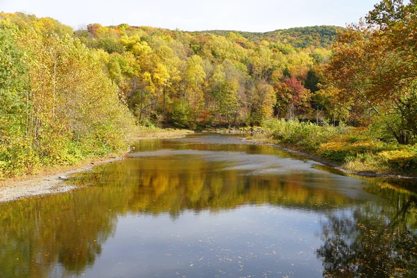 在美国宾夕法尼亚州通汉诺克附近的河边 秋天落叶的绚丽色彩 — 图库照片