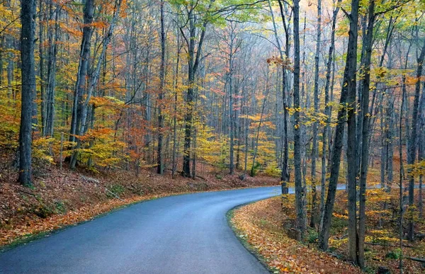 Eine Leere Straße Mit Blick Auf Das Auffallende Herbstlaub Der — Stockfoto