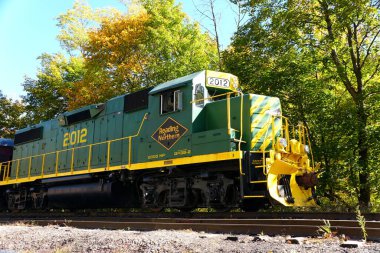 Jim Thorpe, Pennsylvania, ABD - 17 Ekim 2020 - Reading & Northern treni sonbahar yapraklarıyla çevrili