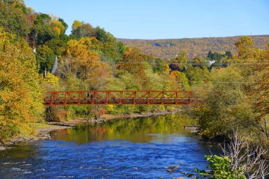 Lehigh River, Jim Thorpe, Pensilvanya, ABD yakınlarındaki yaprakların çarpıcı renkleri