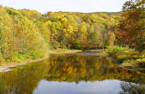 Slående Färgerna Hösten Lövverk Vid Floden Nära Tunkhannock Pennsylvania Usa — Stockfoto