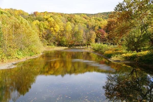 在宾夕法尼亚通汉诺克附近的河边 秋天落叶的引人注目的景色 — 图库照片