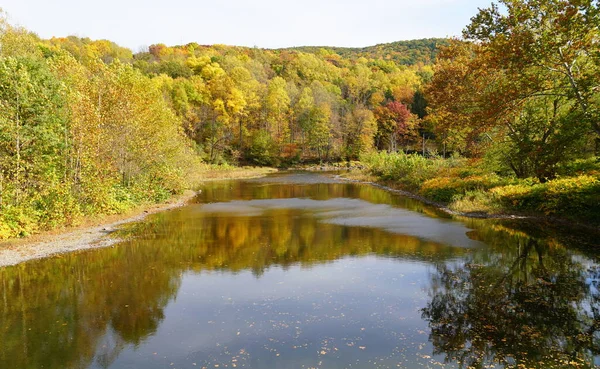 在宾夕法尼亚通汉诺克附近的河边 秋天落叶的引人注目的景色 — 图库照片