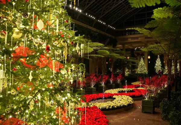 Hermoso Árbol Navidad Dentro Jardín Con Fuente Decorada Con Poinsettia —  Fotos de Stock