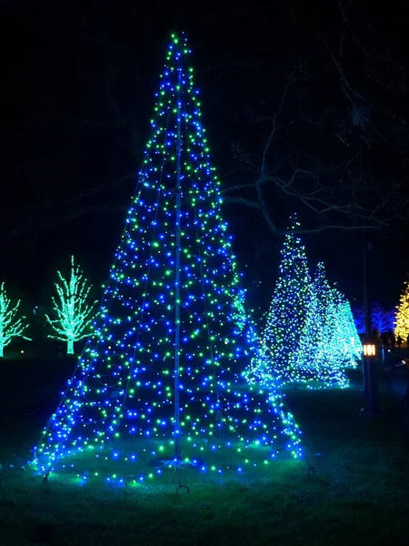 Szyszka Kształcie Sosny Niebieskich Lampkach Sznurkowych Święta — Zdjęcie stockowe