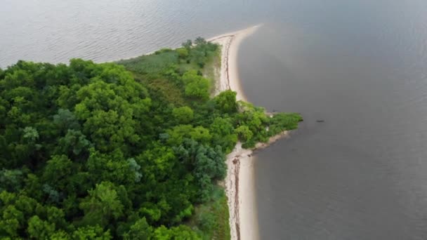 Aerial View Green Trees White Beach Rock Point Maryland — Stock Video