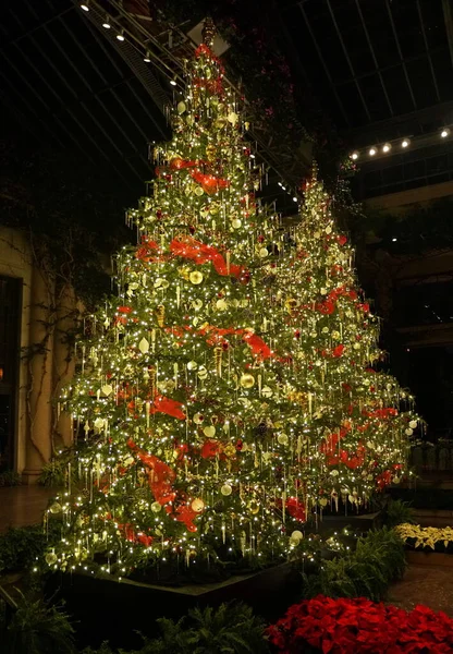 Hermoso Árbol Navidad Decorado Con Luces Adornos Rojos Jardín —  Fotos de Stock
