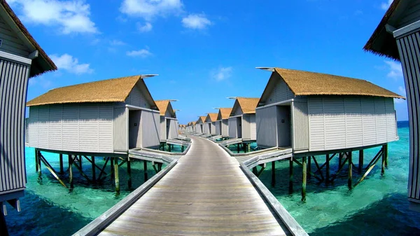 Horní Pohled Dámu Šnorchlící Průzračné Modré Vodě Malediv — Stock fotografie