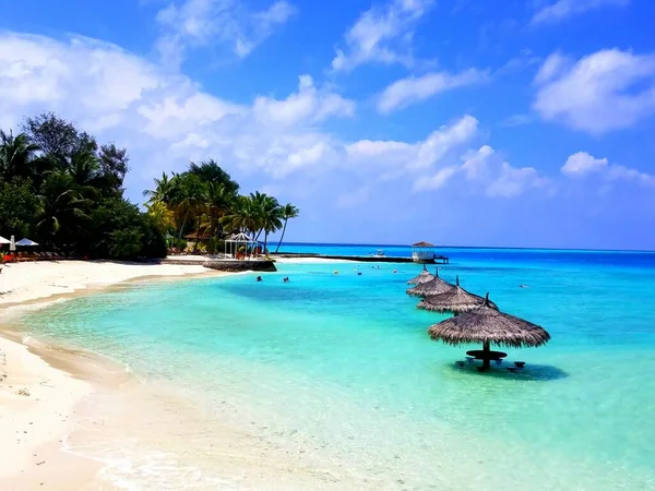 Horní Pohled Dámu Šnorchlící Průzračné Modré Vodě Malediv — Stock fotografie