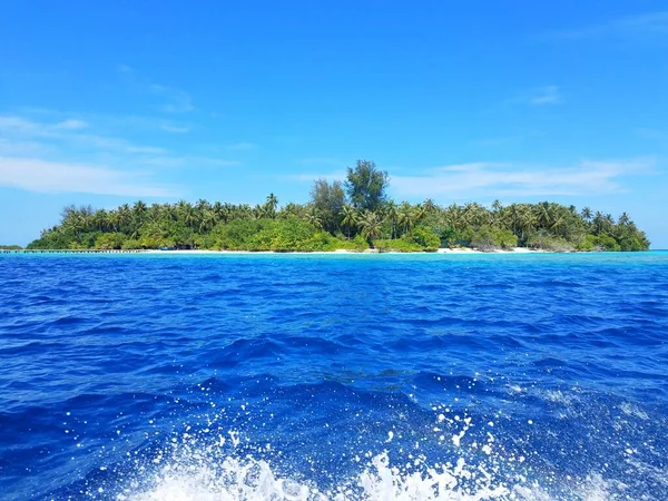 Vista Superior Una Señora Buceando Agua Azul Claro Maldivas — Foto de Stock