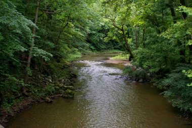 Newark, Delaware 'deki White Clay Creek' teki alabalık deresinin üst manzarası.