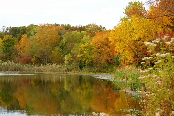在美国特拉华州威明顿的班宁公园附近的弗利池塘 一个阳光明媚的日子里 秋天的落叶映衬着它 — 图库照片