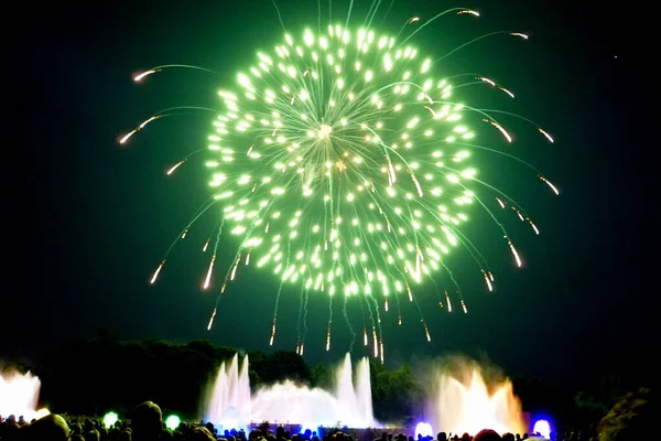 Beautiful Green Fireworks Dark Sky Lit Water Fountain — Stock Photo, Image