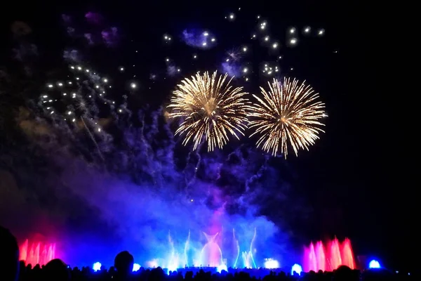 Beautiful Fireworks Dark Sky Lit Water Fountain Blue Red Lights — Stock Photo, Image