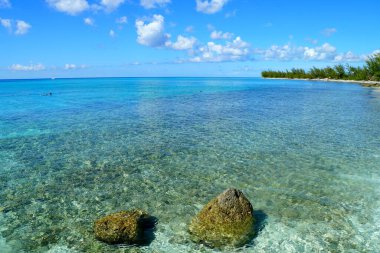 Stunning crystal clear water with corals along the shallow bay at Princess Cays, Bahamas