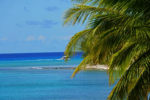 View Beautiful Blue Ocean Green Palm Trees Princess Cays Bahamas — Fotografia de Stock