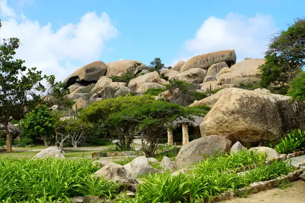 Vista Árvores Verdes Pedras Grandes Formações Rocha Ayo Aruba — Fotografia de Stock