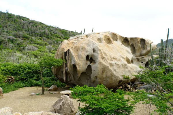 Vista Plantas Tropicais Cactos Grandes Pedras Nas Formações Rochosas Ayo — Fotografia de Stock