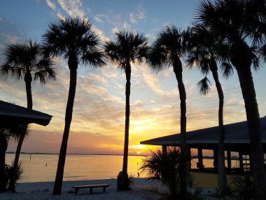 Palmiye ağaçlarının ve binaların silueti gün batımına bakıyor Cape Coral, Florida, ABD yakınlarında.