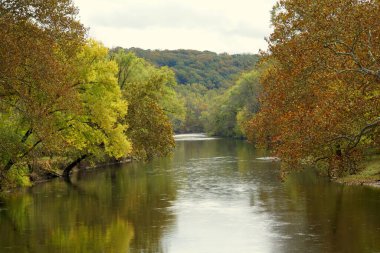 Wilmington, Delaware, ABD yakınlarındaki Brandywine Nehri boyunca güzel bir sonbahar yeşilliği manzarası.